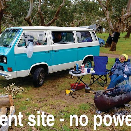 Bimbi Park - Camping Under Koalas Cape Otway Zewnętrze zdjęcie