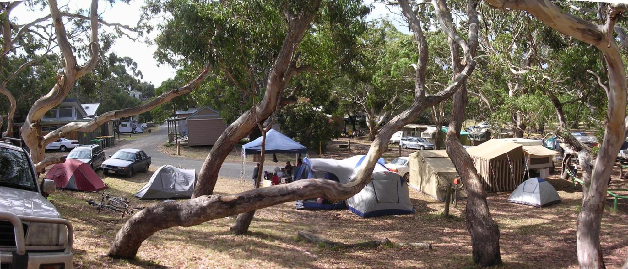 Bimbi Park - Camping Under Koalas Cape Otway Zewnętrze zdjęcie