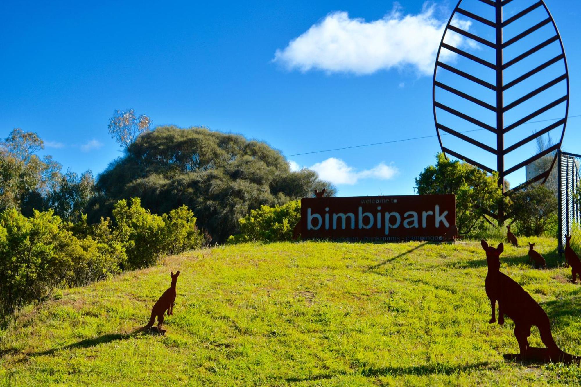 Bimbi Park - Camping Under Koalas Cape Otway Zewnętrze zdjęcie