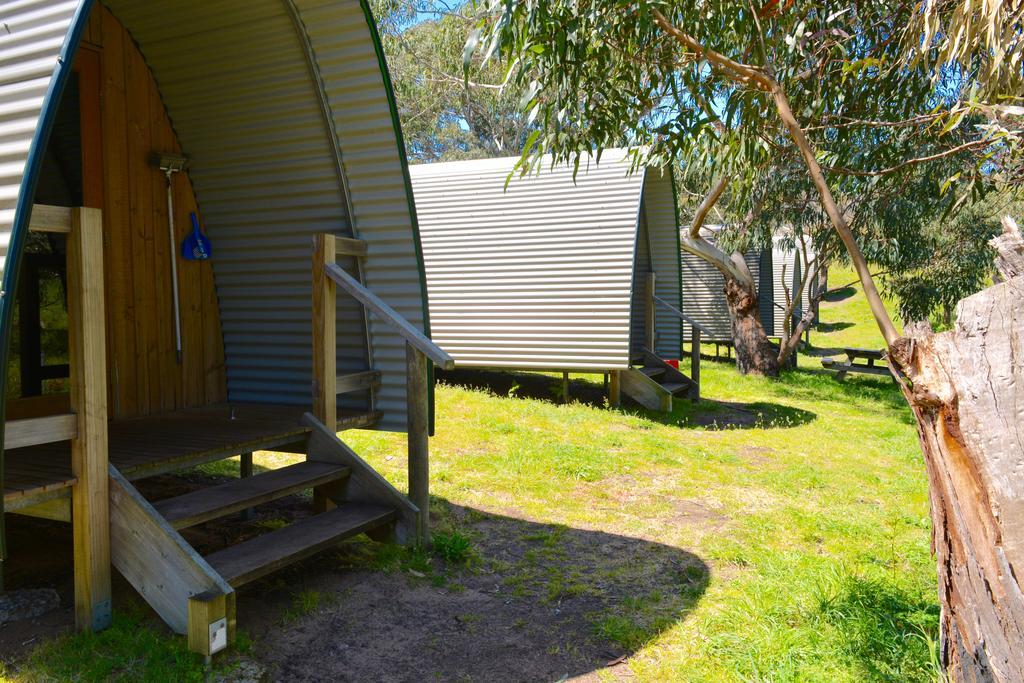 Bimbi Park - Camping Under Koalas Cape Otway Zewnętrze zdjęcie